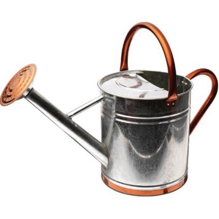 World Source Partners Gal Steel/Copper Watering Can