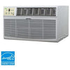 Through-The-Wall or Window Air Conditioner, 12,000 BTU