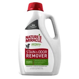 Stain & Odor Remover, 1-Gal.