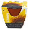 Sunflower Grow Kit, 4-In. Plastic Pot