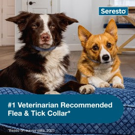 Seresto Flea and Tick Collar for Dogs