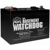 Sump Pump AGM Standby Battery, Maintenance-Free