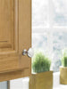 Amerock BP53005G10 EDONA Cabinet Knob