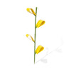 Safer® Home Houseplant Sticky Stakes