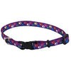 Dog Collar, Adjustable, Paws, Nylon, 1 x 18-26-In.