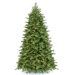 Artificial Pre-Lit Christmas Tree, Princeton Fraser, 800 Clear Lights, 7.5-Ft.