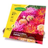 Dahlia Hot & Spicy Blend Flower Bulb, 3-Ct.