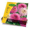Dahlia Mixed Bulbs, 4-Ct.