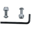 Anti-Theft License Bolt, 2-Pk.